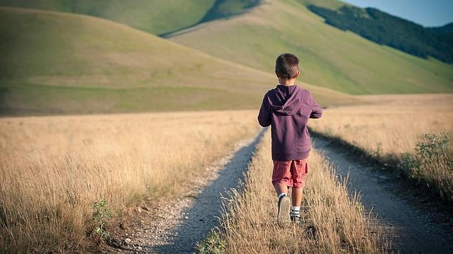 Mi idolatrado hijo. El niño que no obedece.