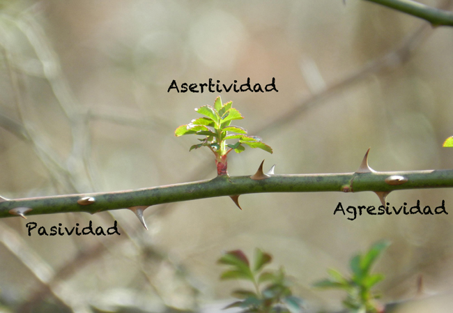 La falta de asertividad puede convertirse en el motor de tus obsesiones. Entrena tus habilidades sociales.