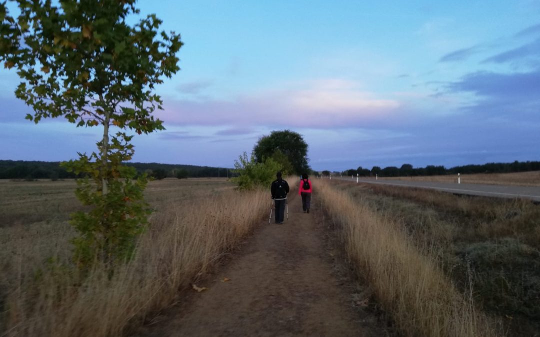 El Camino de Santiago con los 5 sentidos